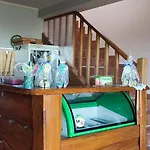 Wiatrak Séjour à la ferme *