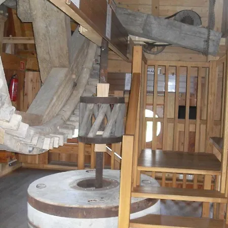 Wiatrak مزرعة للإقامة *